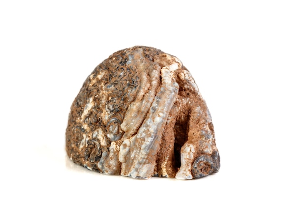 Макроминеральный камень агат почки герберы на белом фоне крупным планом