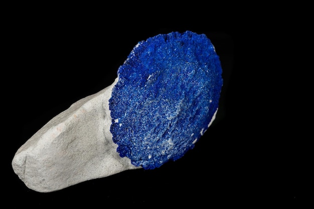 Macro mineral stone Azurite in siltstone against black background