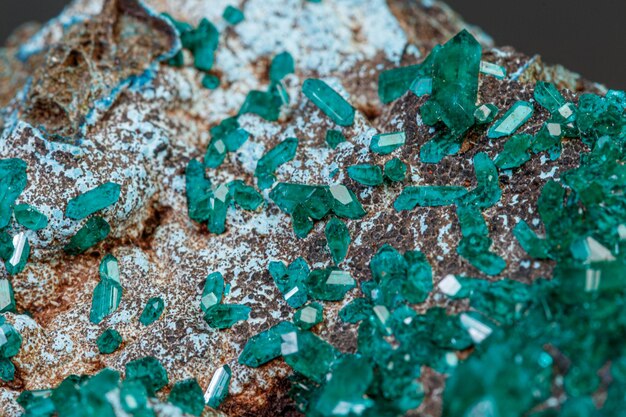 写真 灰色の背景にマクロ ミネラル石 dioptase