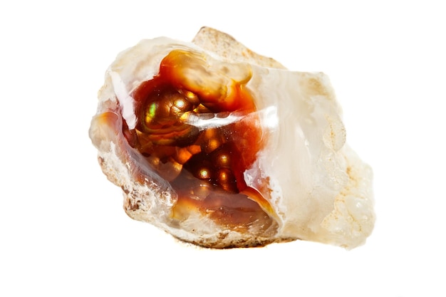 Macro mineral stone fiery Agate on a white background