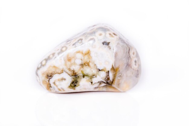 Macro mineral stone Jasper oceanic on a white background