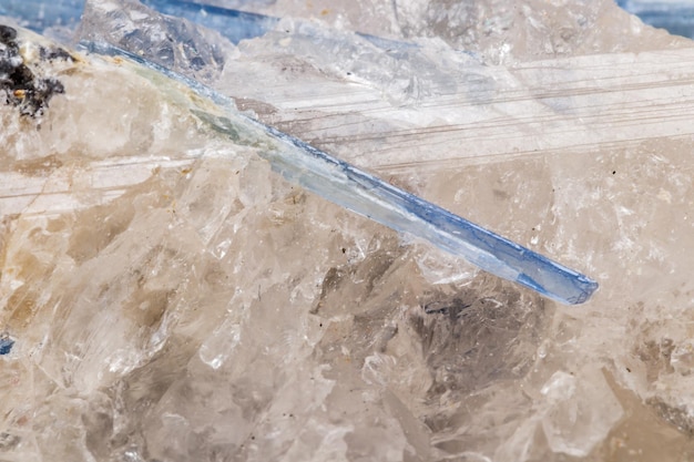 Macro mineral stone Kyanite a white background