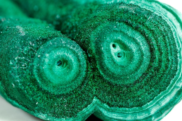 Macro mineral stone malachite stalactite on white background