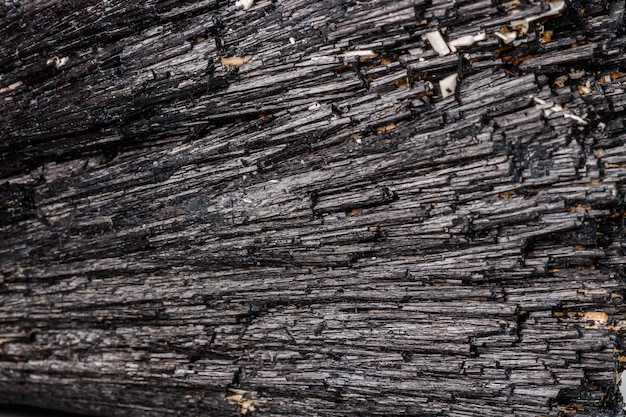 Macro mineral stone Schorl Black Tourmaline on a white background