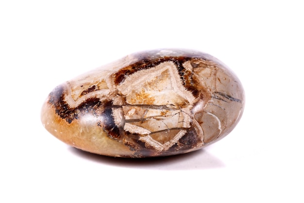 Macro mineral stone Simbirzit and Septaria on white background