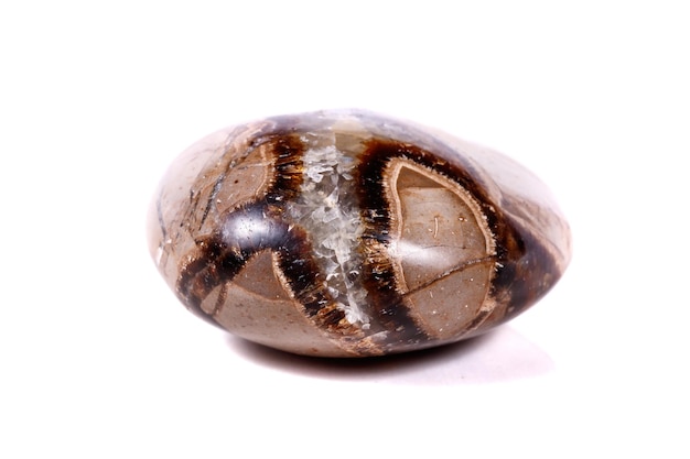 Macro mineral stone Simbirzit and Septaria on white background