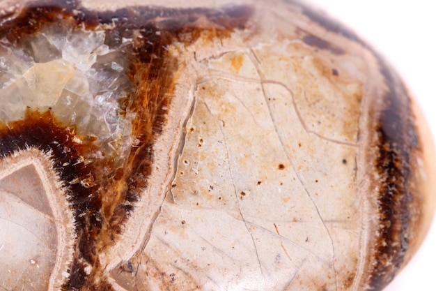 Photo macro mineral stone simbirzit and septaria on white background