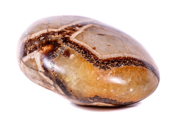 Macro mineral stone Simbirzit and Septaria on white background