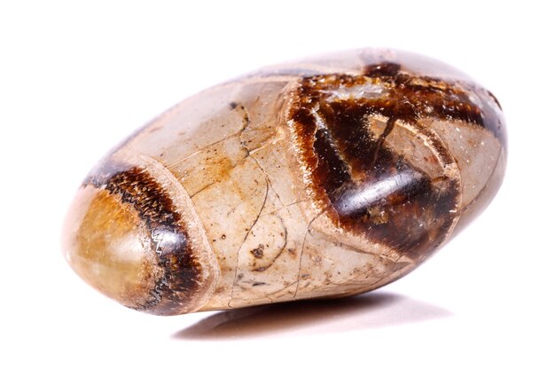 Macro mineral stone Simbirzit and Septaria on white background