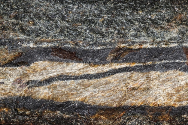 Macro mineral stone Snake eye in the rock a white background