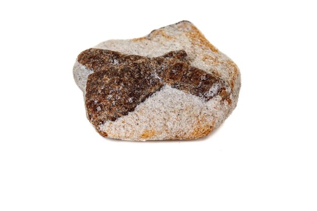 Macro mineral stone Staurolite on a white background