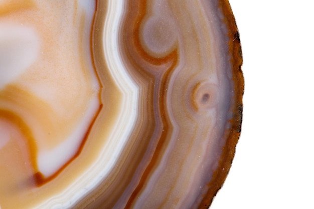 Macro mineral stone Yellow, brown Agate breed a white background close up