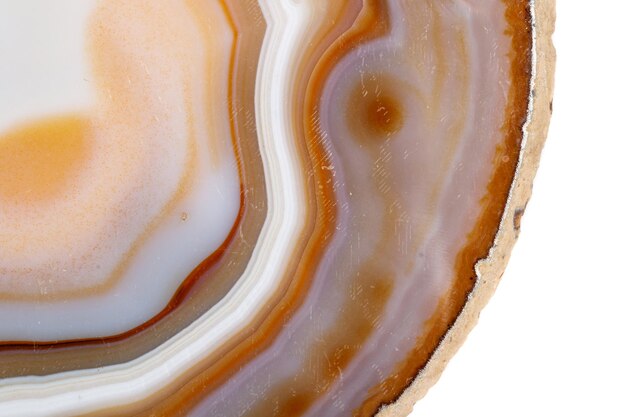 Macro mineral stone Yellow brown Agate breed a white background close up