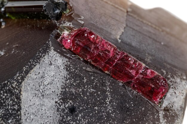 Macro mineral tourmaline stone in quartz on a white background