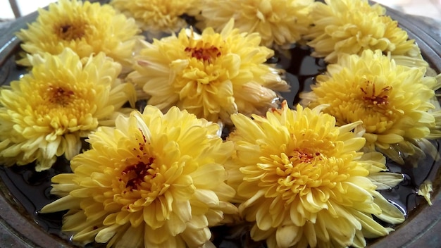 Foto macro-opname van gele bloem