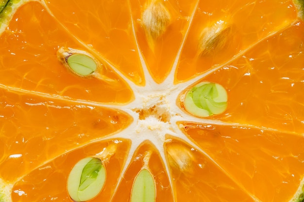 매크로 오렌지 질감, 백라이트가 있는 감귤류 과일 조각, 추상 매크로 사진 시칠리아 혈액