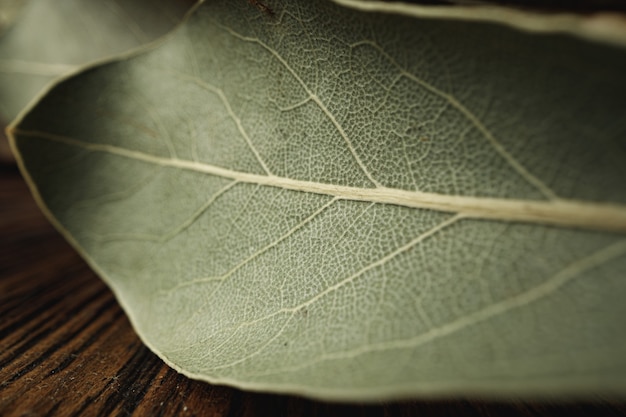 Macro photo of bay leaf spice on wooden table