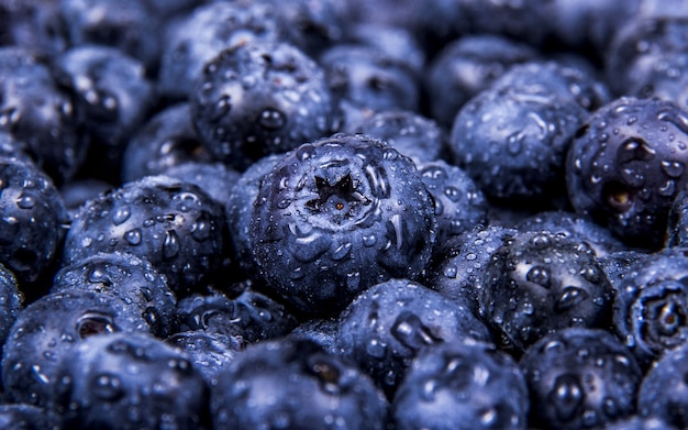 Photo macro photo blueberry juicy wet blueberries