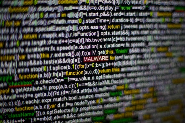 Macro photo of computer screen with program source code and highlighted malware inscription in the