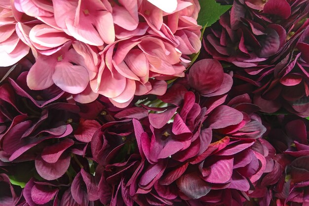 Macro photo of flower petals, texture and space.