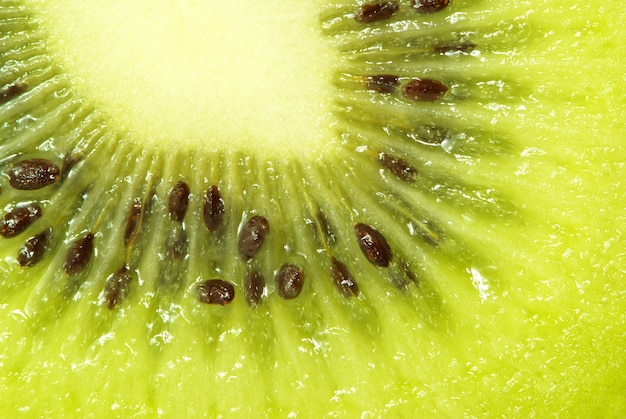 Foto foto macro di un kiwi fresco