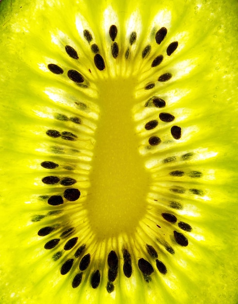 Foto foto a macroistruzione di un kiwi fresco