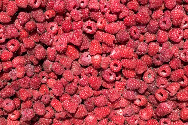 Macro photo of fresh raspberries. Background patern of sweet red raspberries.