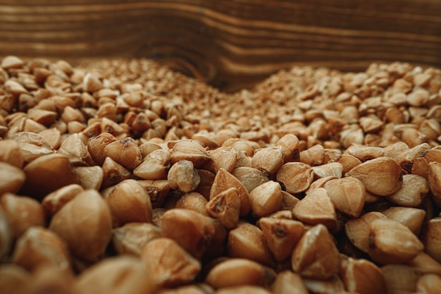 Macro photo of handful dry buckwheat grain close up