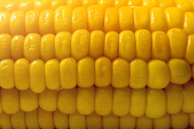 Macro photo of yellow corn background, healthy and tasty food