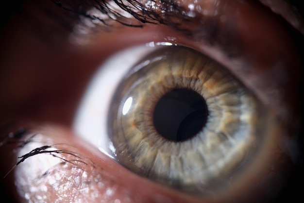 Macro photograph of beautiful green eye woman closeup