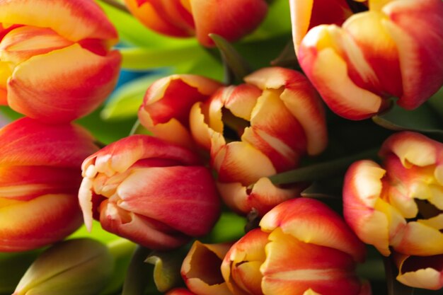 A macro photograph of tulips lies on a brown wooden background