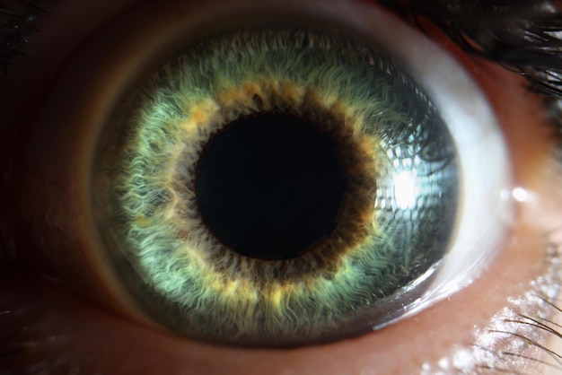 Macro photography of green beautiful bright eye of woman closeup