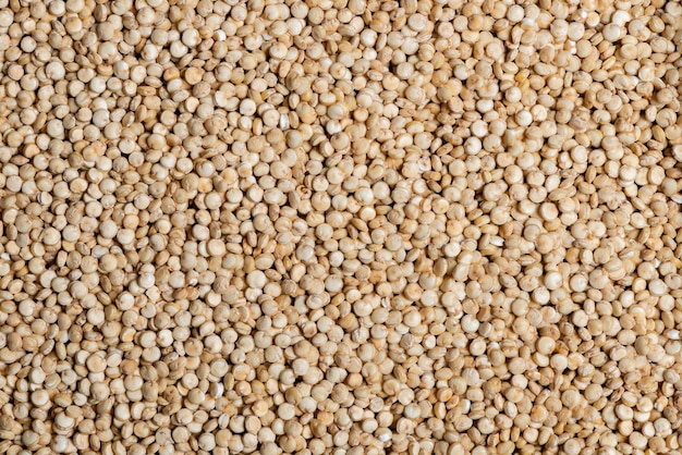 Photo macro photography of quinoa