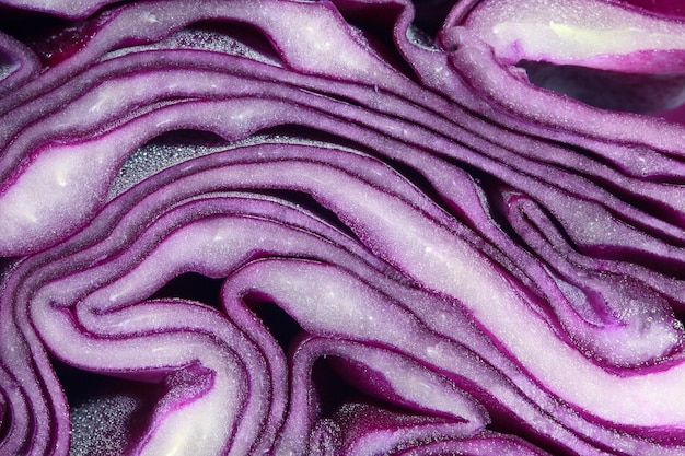 Macro of Purple cabbage, abstract background.