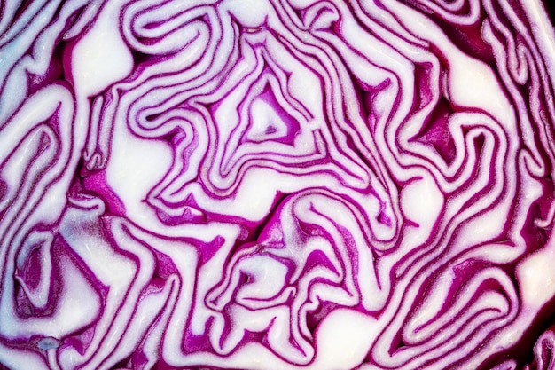 Macro Purple Cabbage,Macro shot of purple cabbage texture. Food background. Close-up macro view