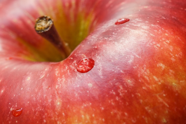 Foto macro di mela rossa con alcune gocce