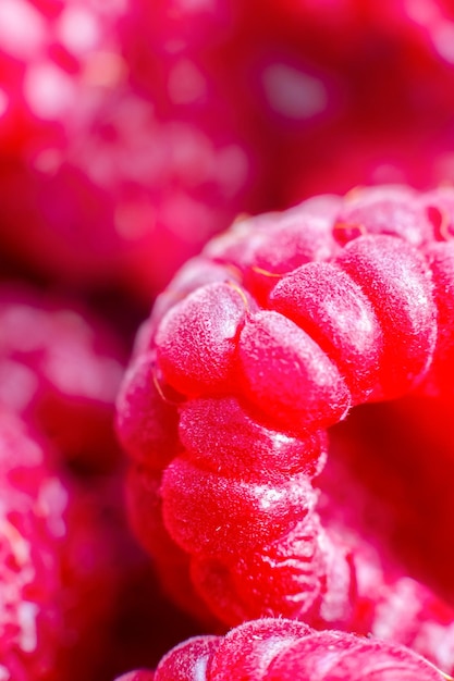 Macro of ripe red raspberry Food background Closeup