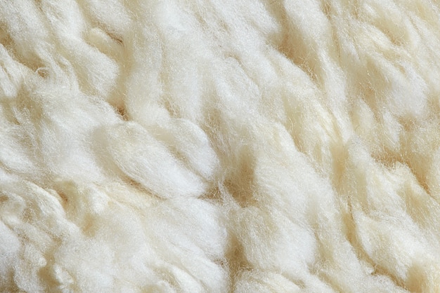 macro sheep fur texture. 