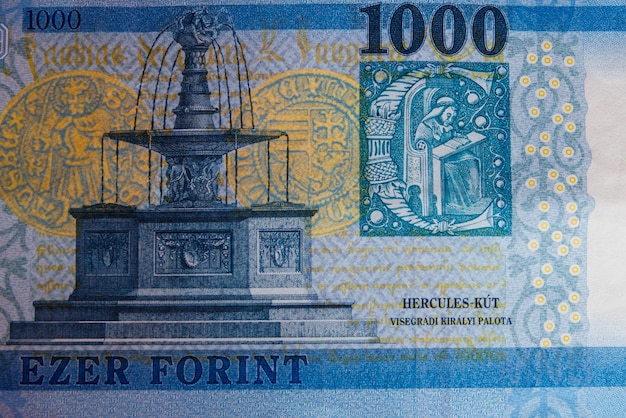 ハンガリーの1000フォリント紙幣のマクロショット