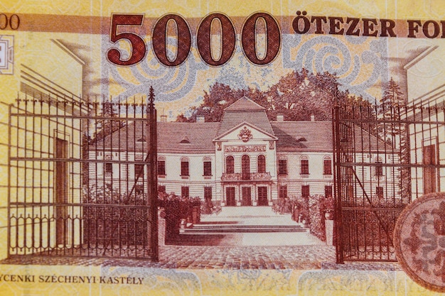 Photo macro shot of 5000 hungarian forint bill