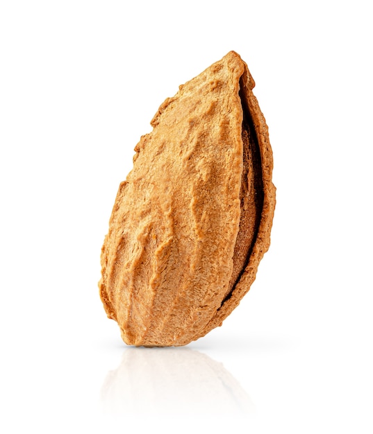 Macro shot of almond nut in shell isolated with clipping path.