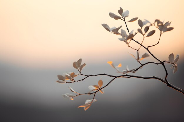 MACRO SHOT OF AUTUMN LEAVES ON BRANCH