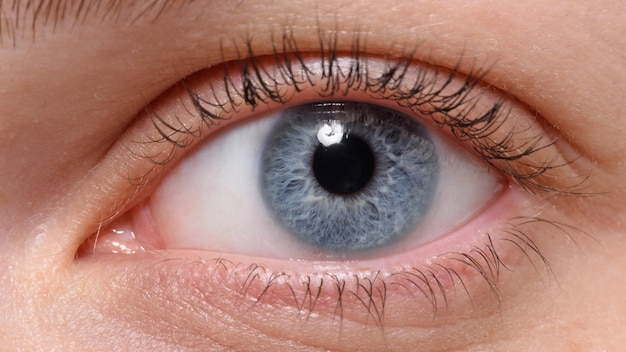 Macro shot of blue eye with makeup