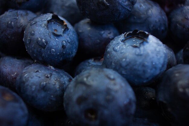 Macro shot of blueberry with water drops Berry background