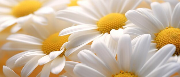 Photo macro shot of chamomile with vibrant yellow center closeup of daisylike chamomile textured backdrop ai generative