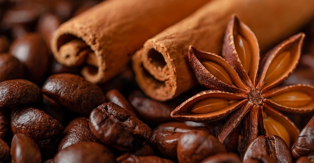 Macro shot of cinnamon and anise star on coffee beans.