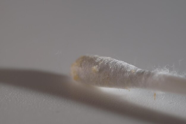 Macro shot of dry ear wax on cotton swab