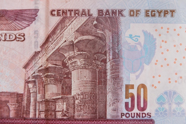 Macro shot of fifty egyptian pounds bill