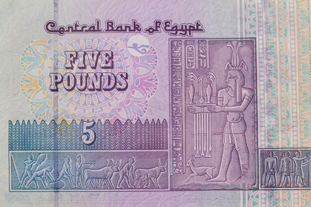 Macro shot of five egyptian pounds bill