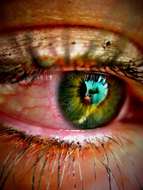 Macro shot of human eye